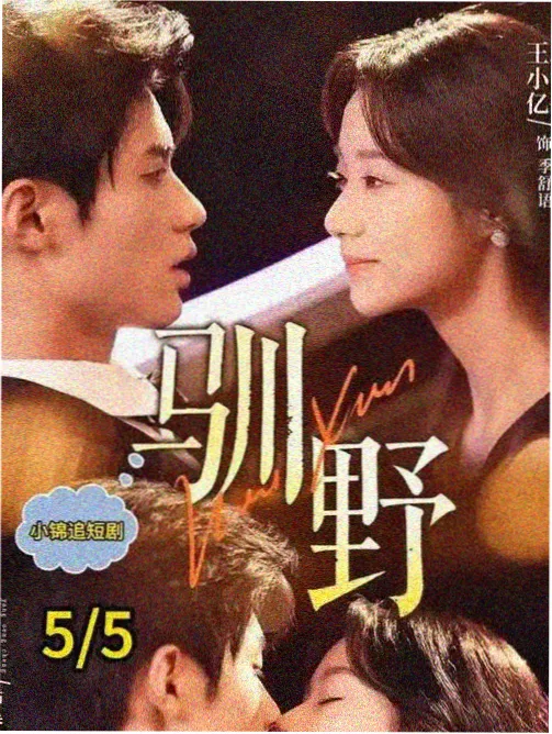 EVA 新剧场版 Q WILLE 舰队设定画面